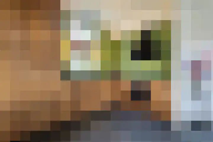 Almeloseweg 50 Vriezenveen thumbnail 16