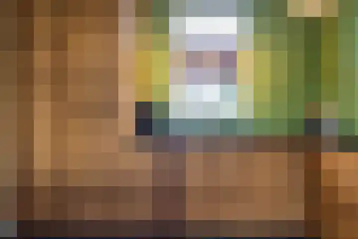Almeloseweg 50 Vriezenveen thumbnail 18
