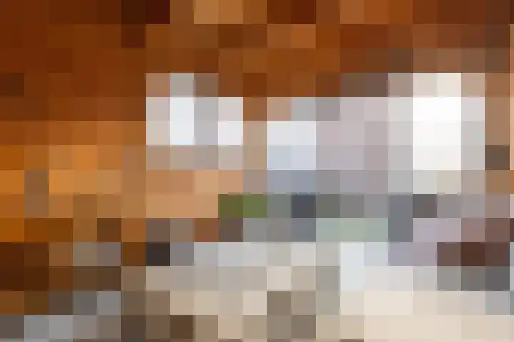 Almeloseweg 50 Vriezenveen thumbnail 37