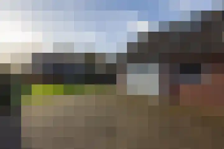 Almeloseweg 50 Vriezenveen thumbnail 39