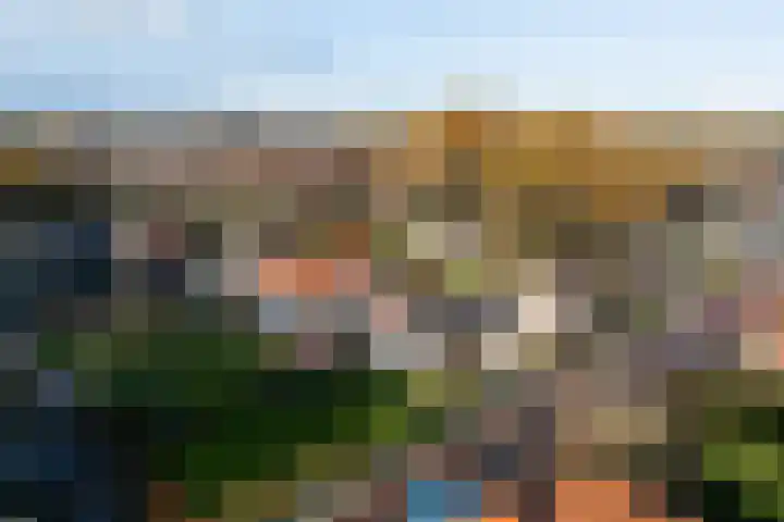 Almeloseweg 50 Vriezenveen thumbnail 4