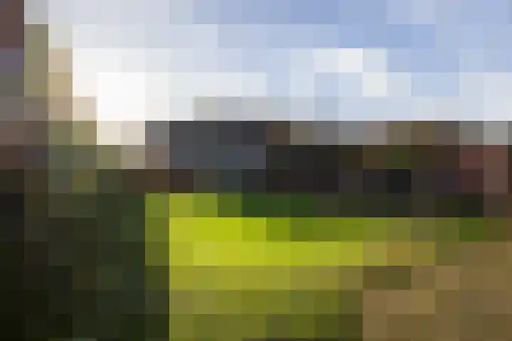 Almeloseweg 50 Vriezenveen thumbnail 40