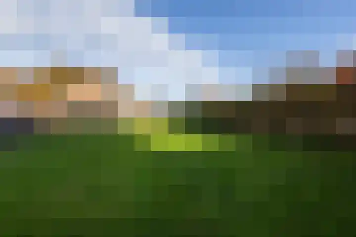 Almeloseweg 50 Vriezenveen thumbnail 42