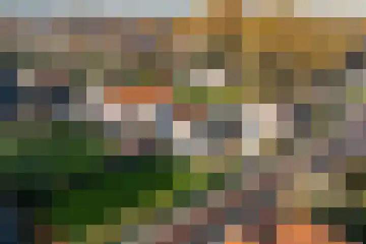 Almeloseweg 50 Vriezenveen thumbnail 5
