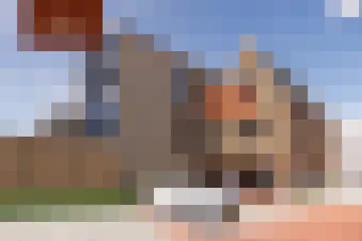 Almeloseweg 9 Tubbergen thumbnail 4
