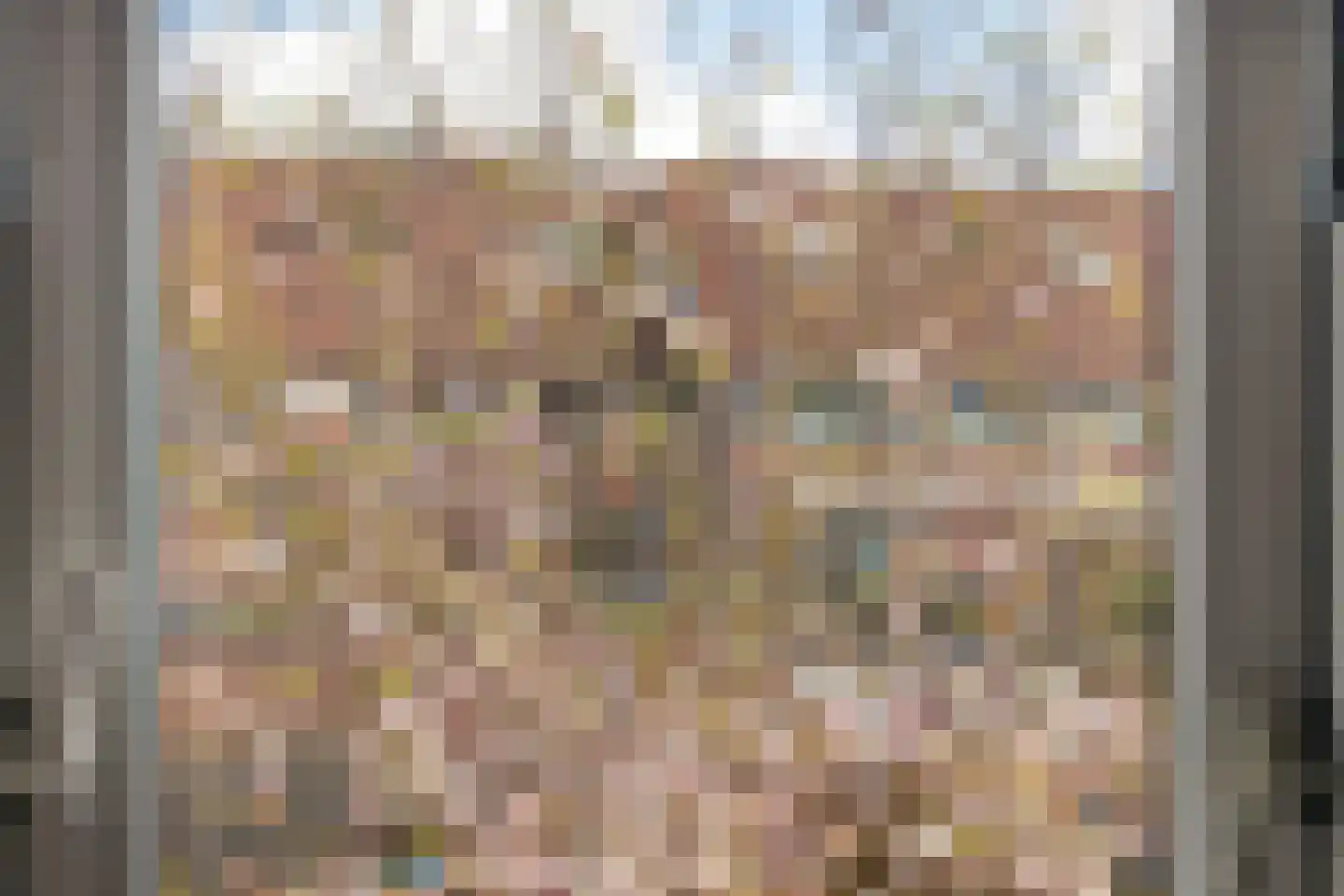 Almensestraat 9 Deventer thumbnail 21