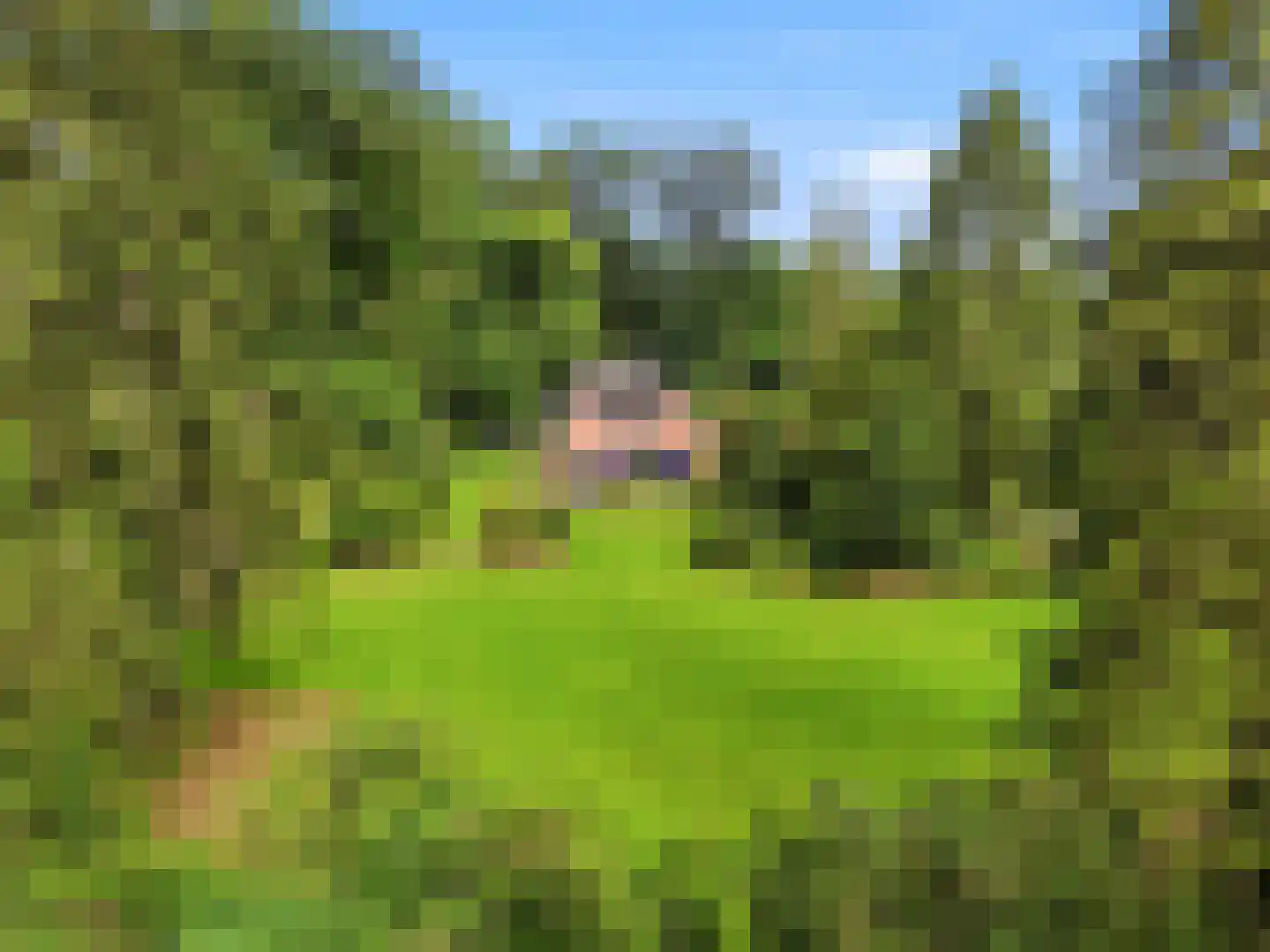 Almenseweg 29 Eefde thumbnail 29