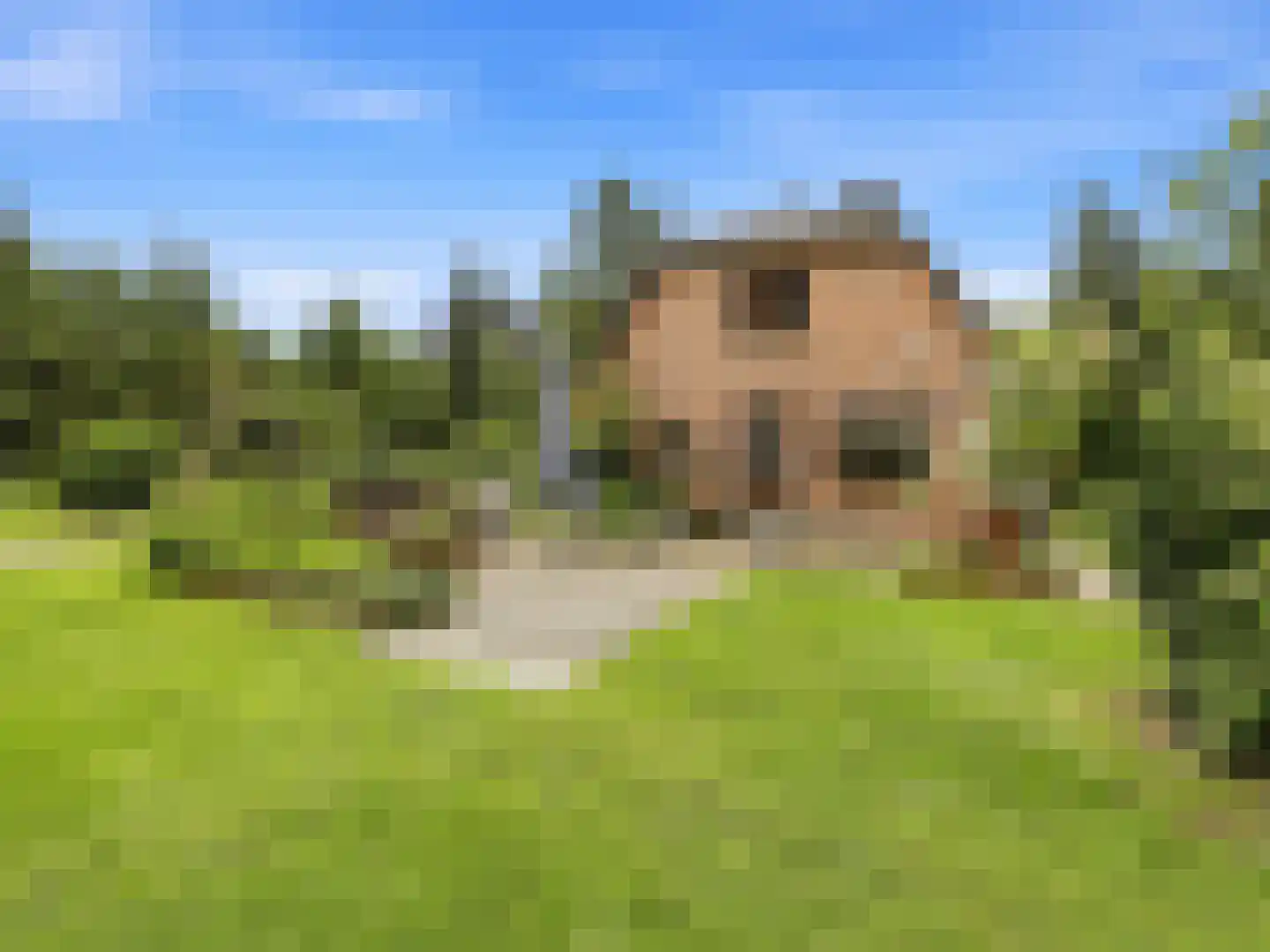 Almenseweg 29 Eefde thumbnail 32