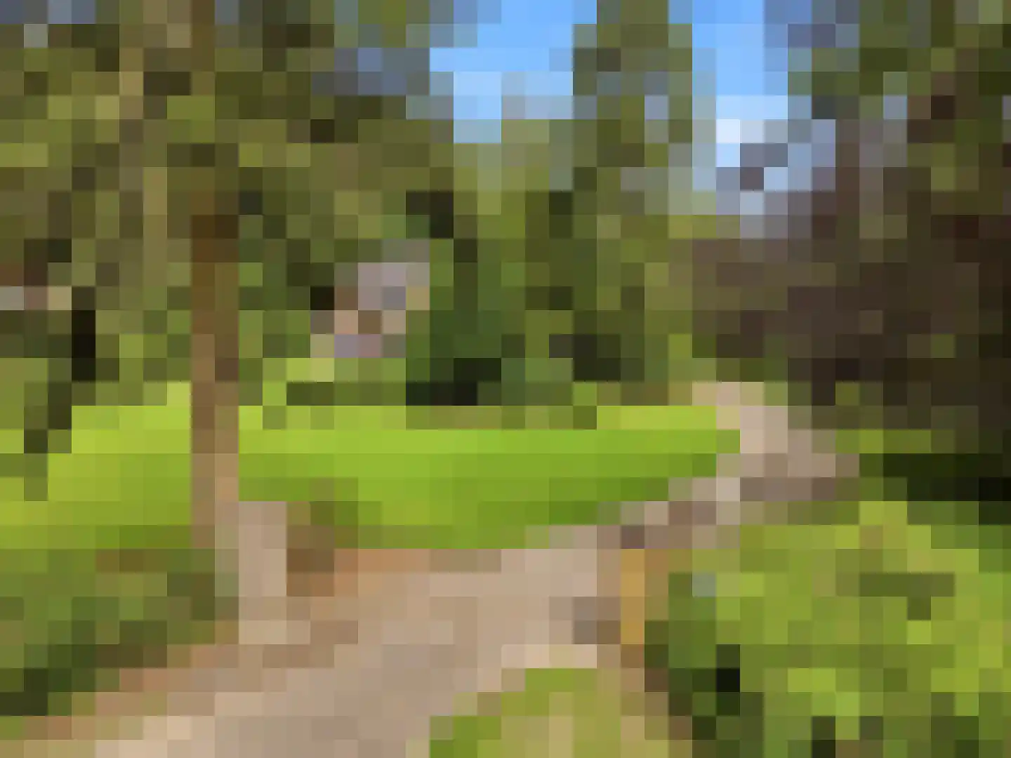 Almenseweg 29 Eefde thumbnail 33