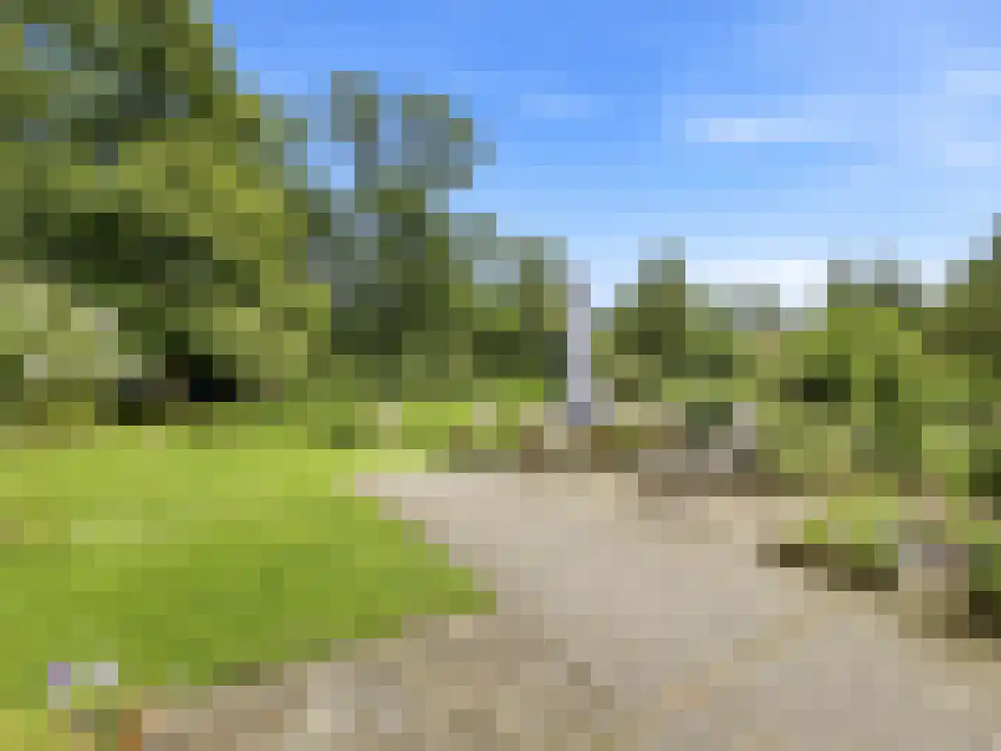 Almenseweg 29 Eefde thumbnail 34