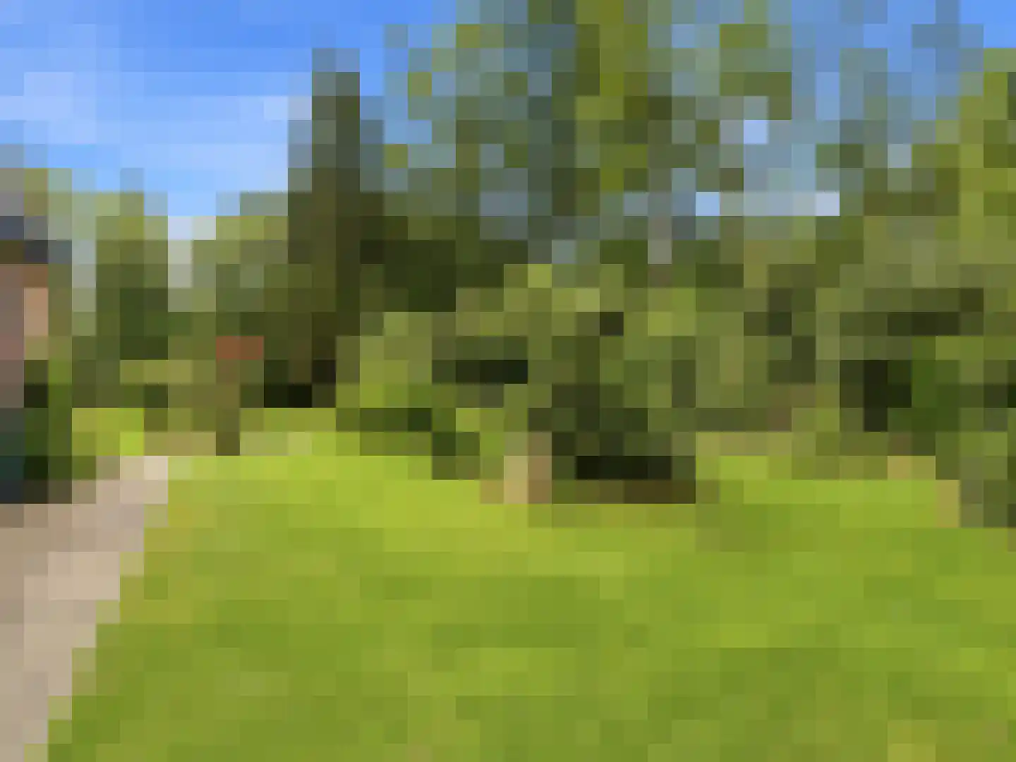 Almenseweg 29 Eefde thumbnail 35