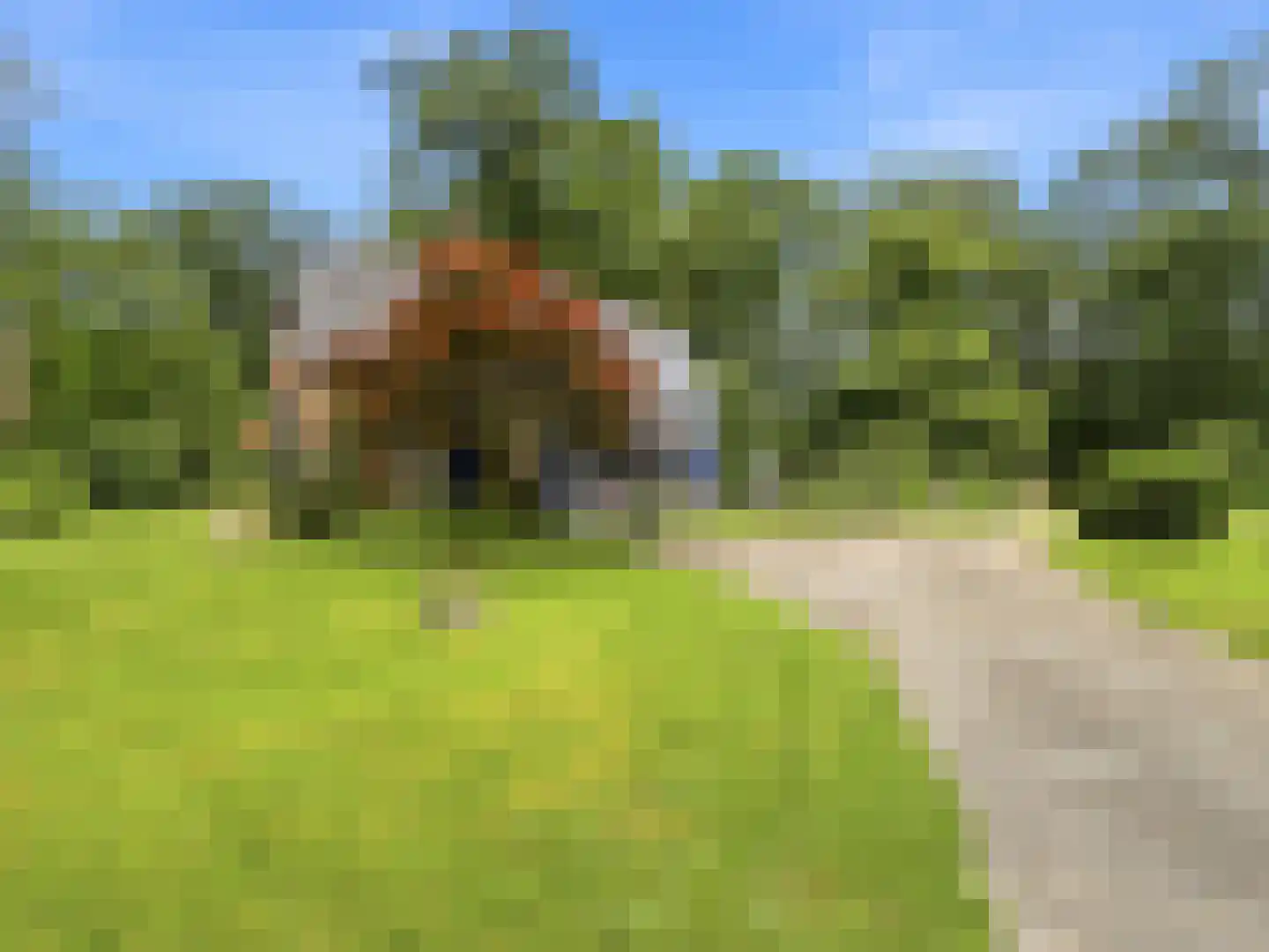 Almenseweg 29 Eefde thumbnail 38