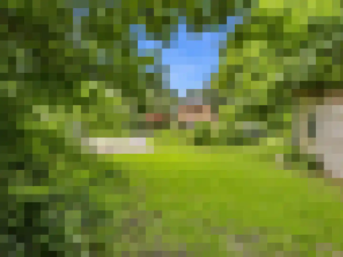 Almenseweg 29 Eefde thumbnail 39