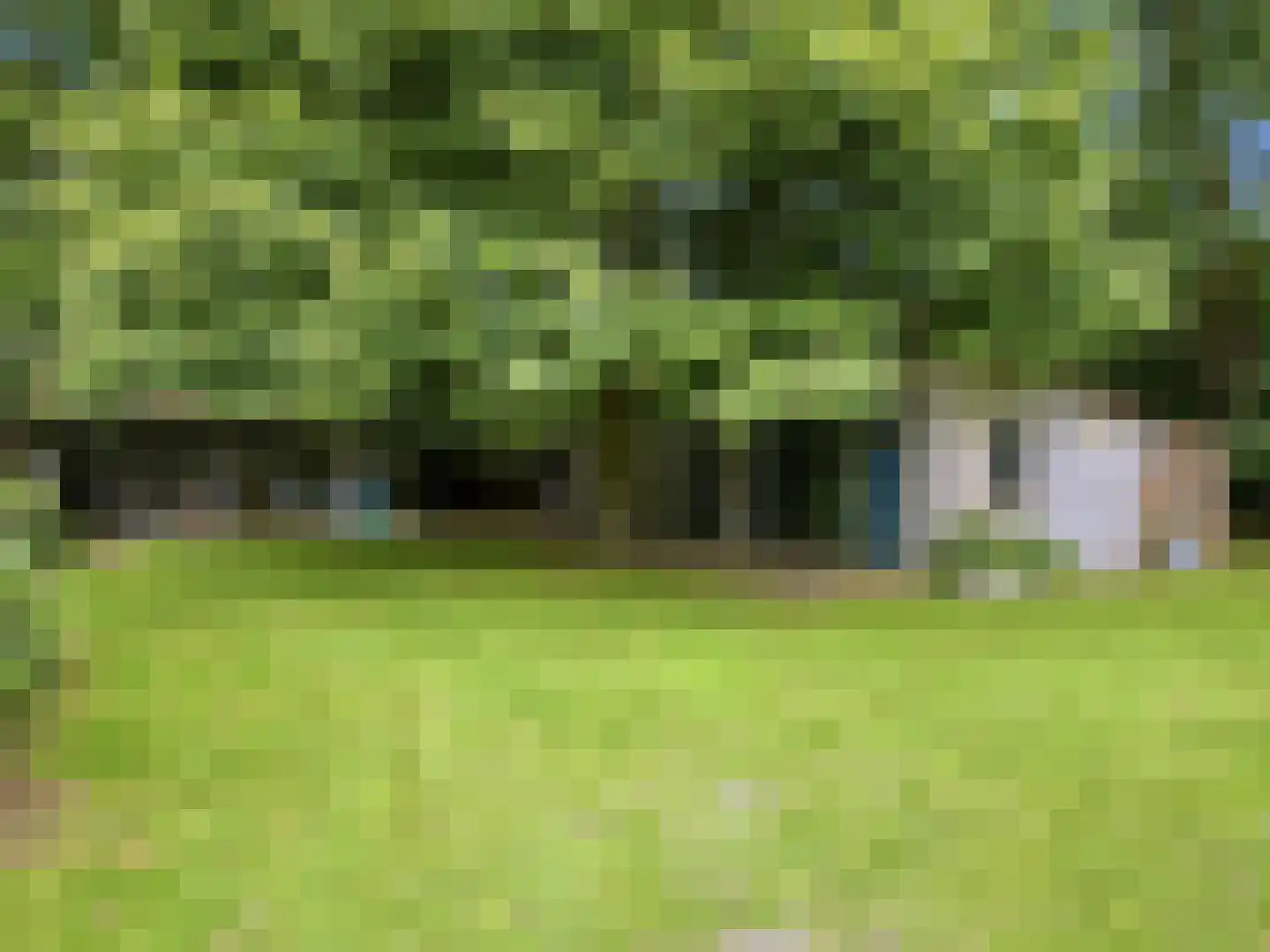 Almenseweg 29 Eefde thumbnail 40