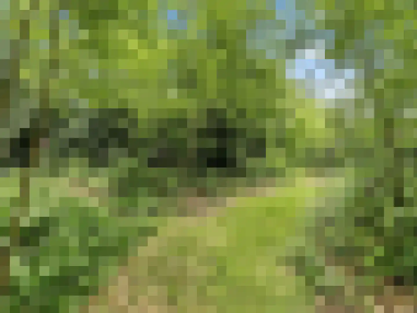Almenseweg 29 Eefde thumbnail 41