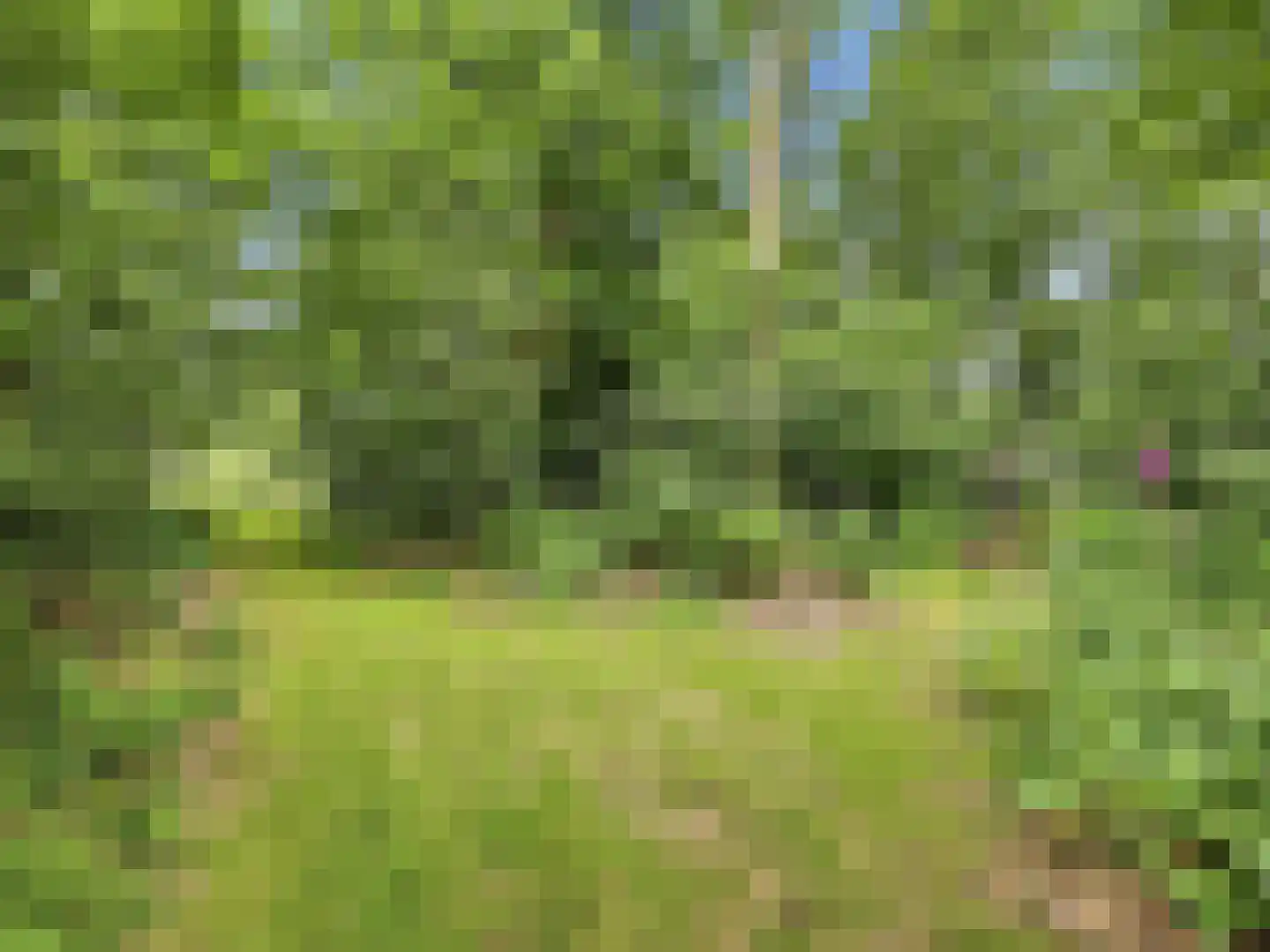 Almenseweg 29 Eefde thumbnail 42