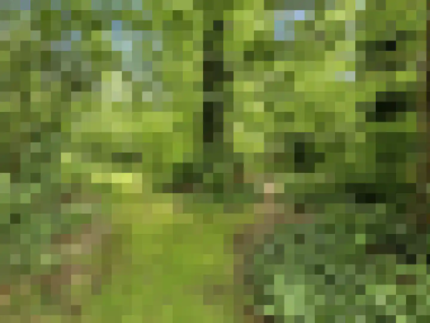 Almenseweg 29 Eefde thumbnail 43
