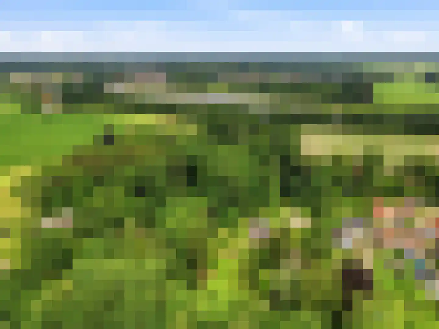 Almenseweg 29 Eefde thumbnail 44