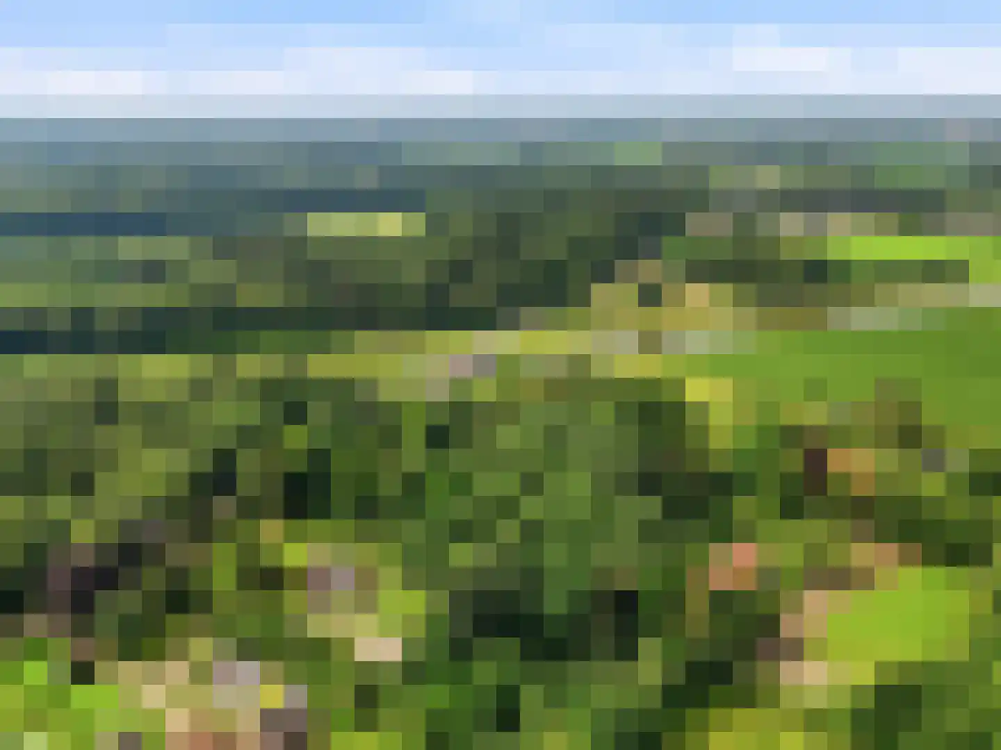 Almenseweg 29 Eefde thumbnail 45