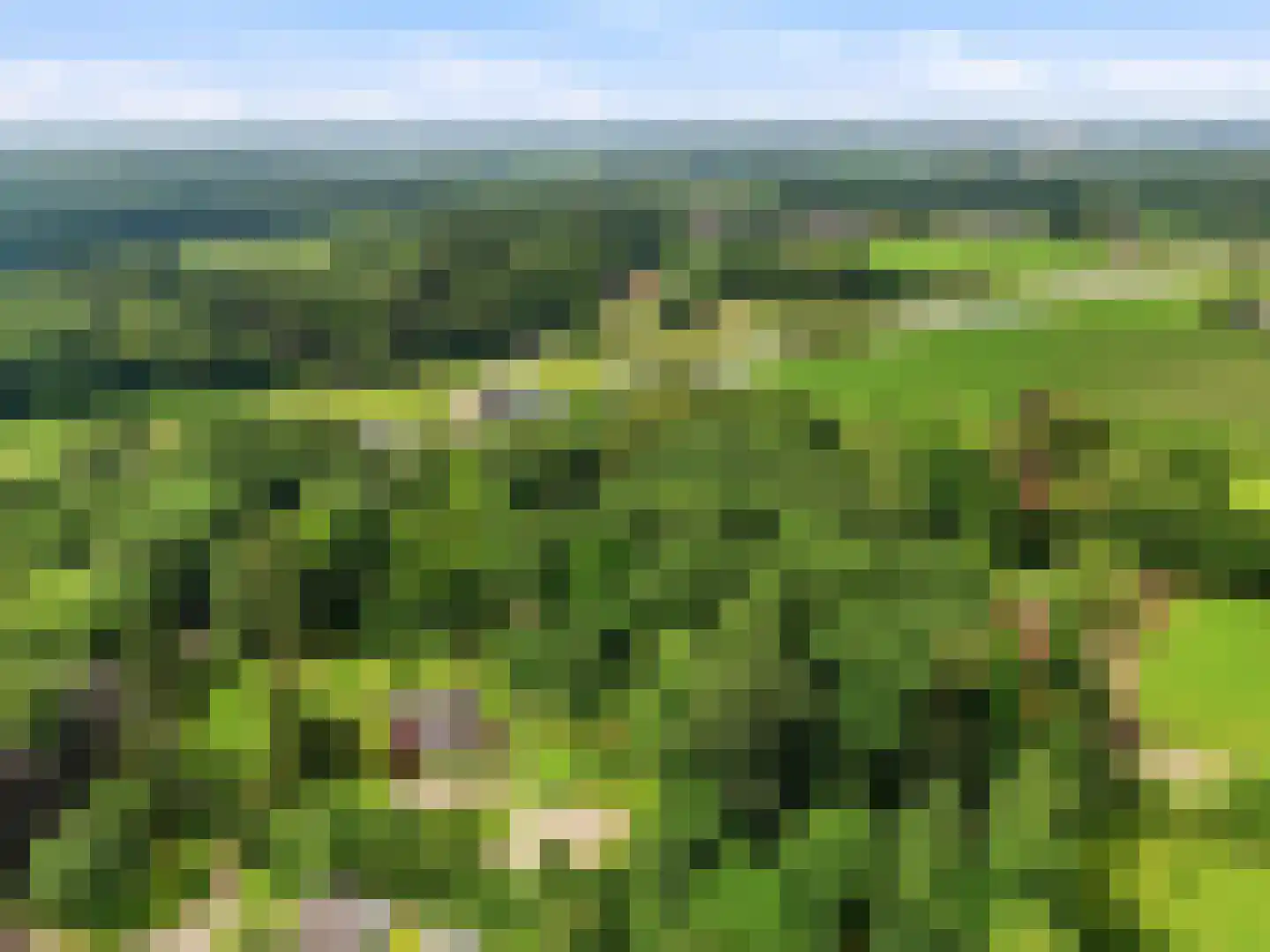 Almenseweg 29 Eefde thumbnail 46
