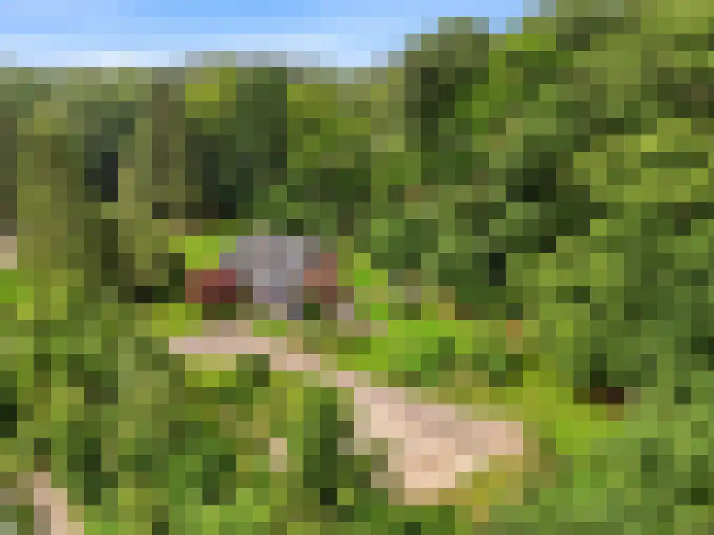 Almenseweg 29 Eefde thumbnail 47