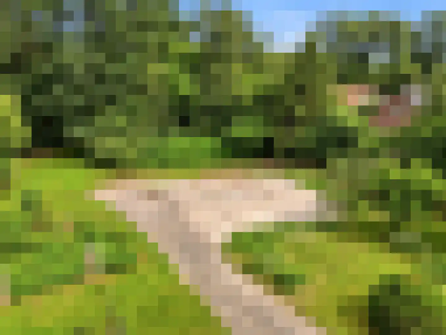 Almenseweg 29 Eefde thumbnail 48