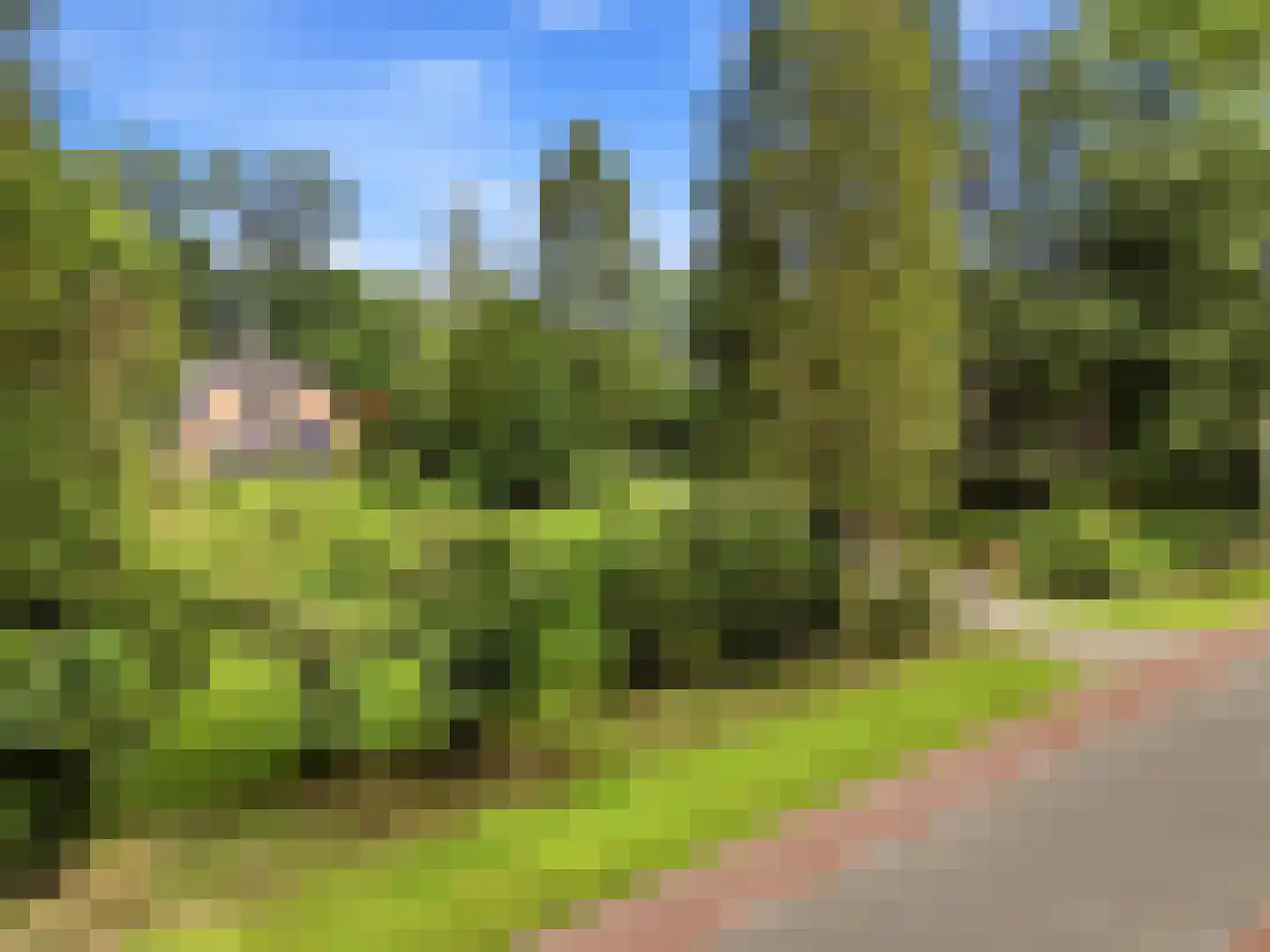 Almenseweg 29 Eefde thumbnail 49