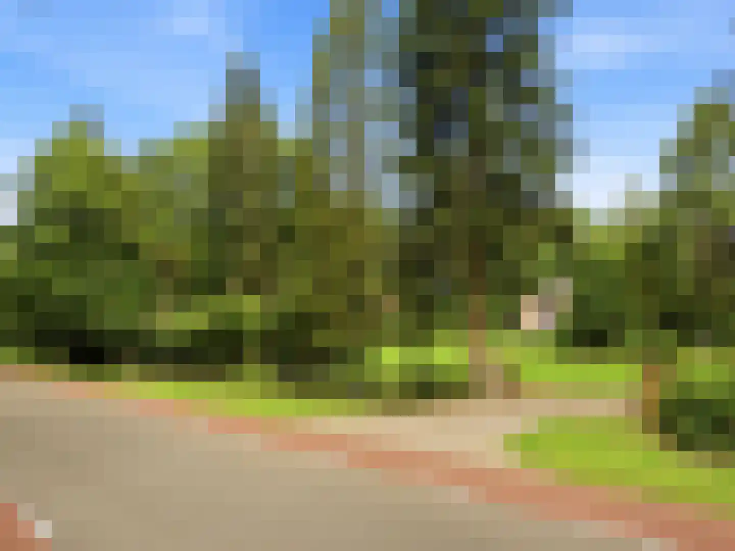 Almenseweg 29 Eefde thumbnail 50