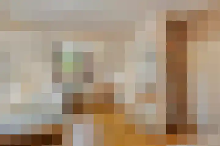 Almenseweg 39 Vorden thumbnail 24