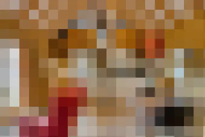 Almenseweg 39 Vorden thumbnail 27