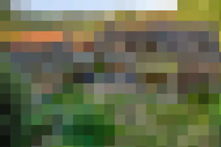 Almenseweg 39 Vorden thumbnail 29
