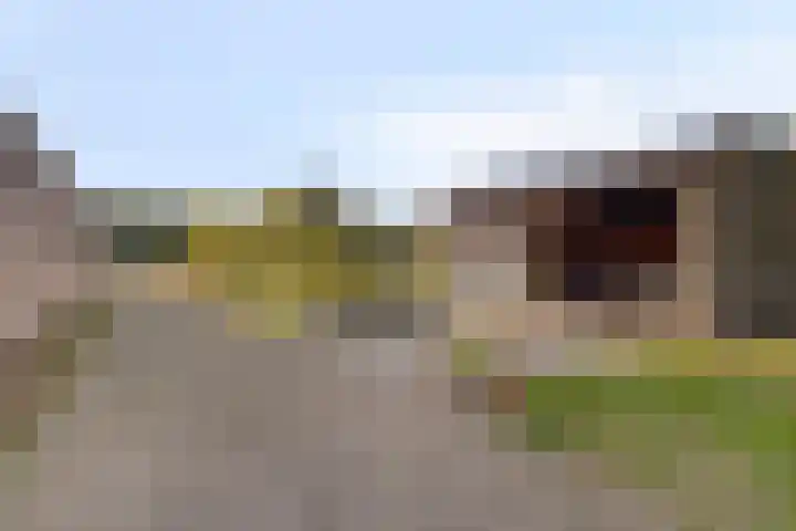 Almenseweg 39 Vorden thumbnail 31