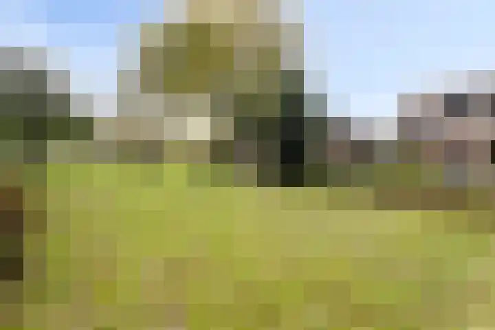 Almenseweg 39 Vorden thumbnail 33