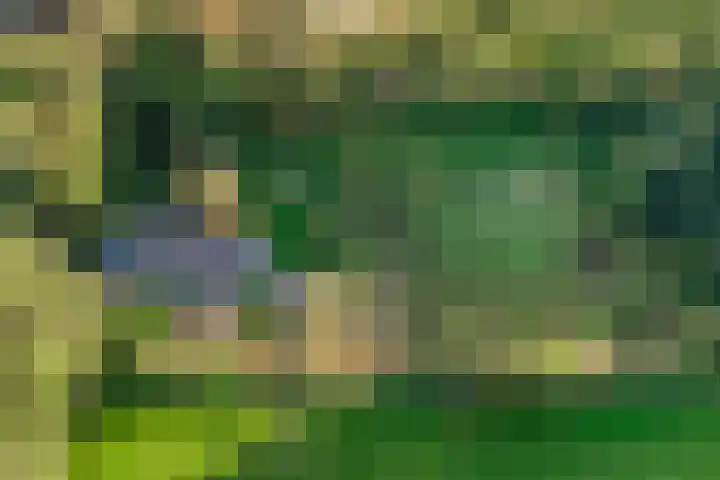 Almenseweg 39 Vorden thumbnail 34
