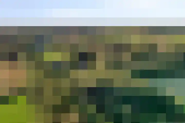 Almenseweg 39 Vorden thumbnail 35