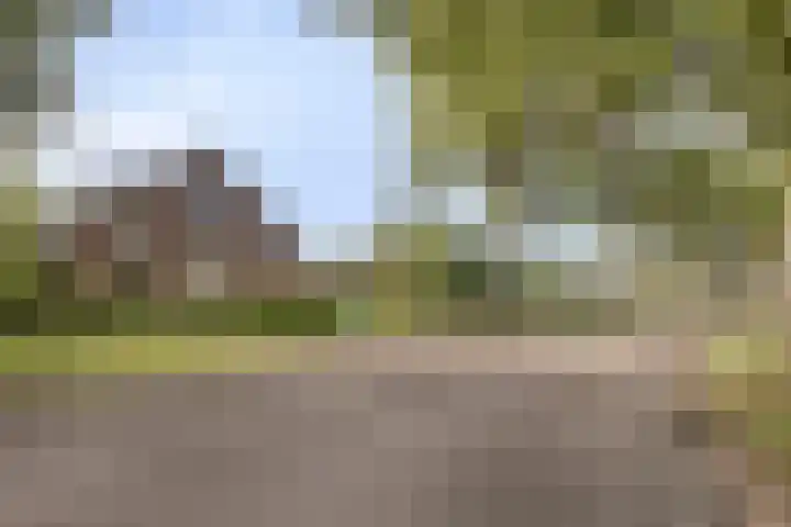 Almenseweg 39 Vorden thumbnail 38