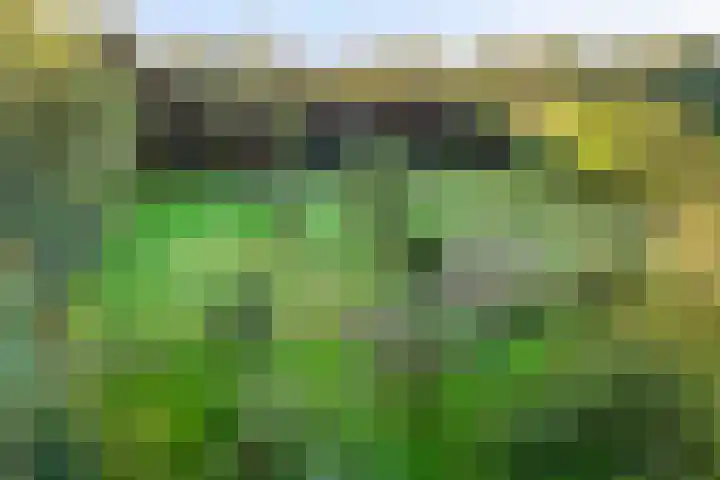 Almenseweg 39 Vorden thumbnail 4