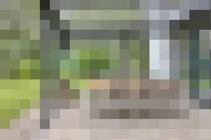 Almenseweg 6 Warnsveld thumbnail 29