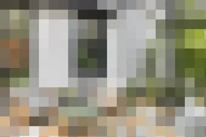 Almenseweg 6 Warnsveld thumbnail 30