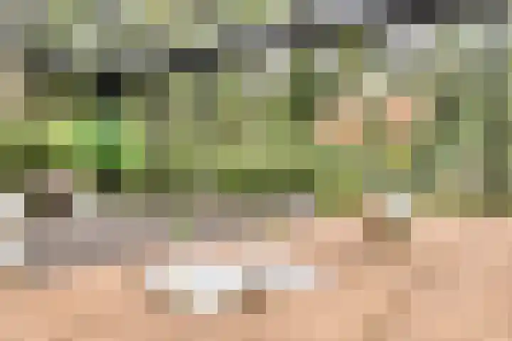 Almenseweg 6 Warnsveld thumbnail 31