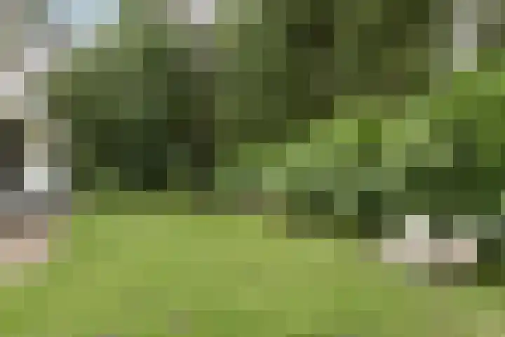 Almenseweg 6 Warnsveld thumbnail 56