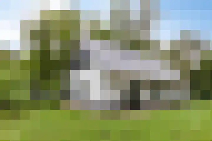 Almenseweg 6 Warnsveld thumbnail 57