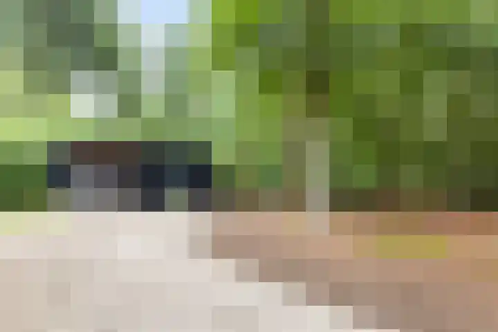 Almenseweg 6 Warnsveld thumbnail 59