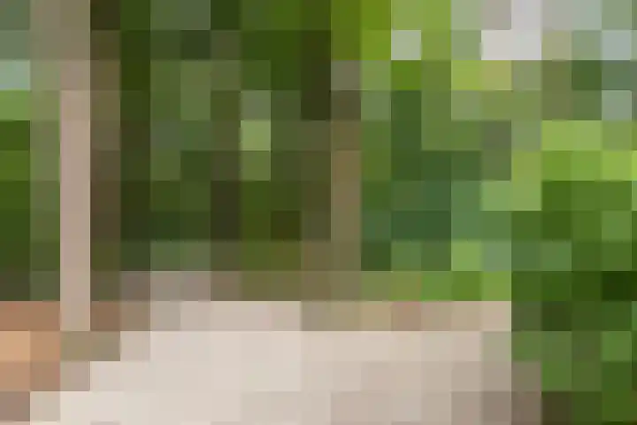 Almenseweg 6 Warnsveld thumbnail 60