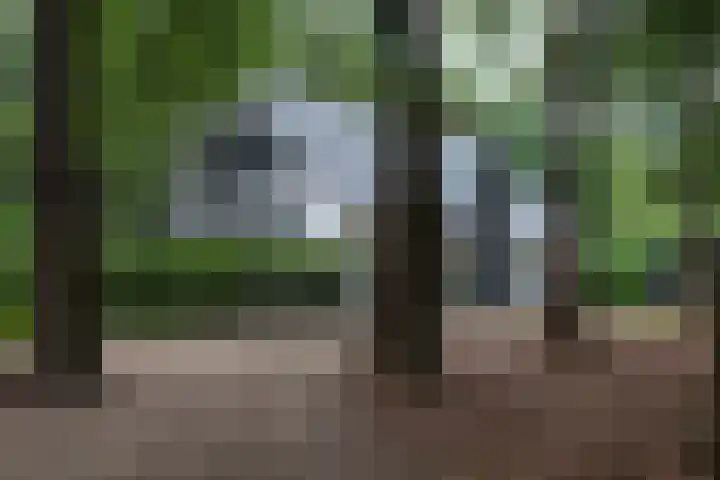 Almenseweg 6 Warnsveld thumbnail 73