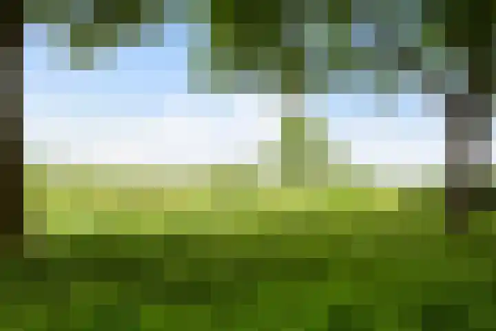 Almenseweg 6 Warnsveld thumbnail 8