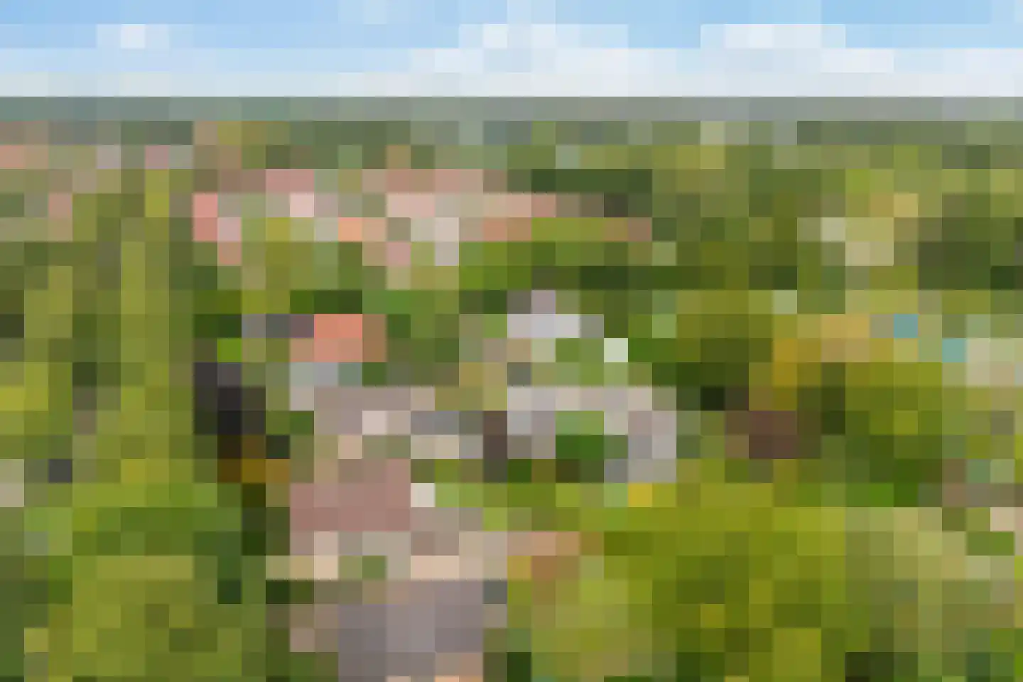 Almereweg 12 Zeewolde thumbnail 10