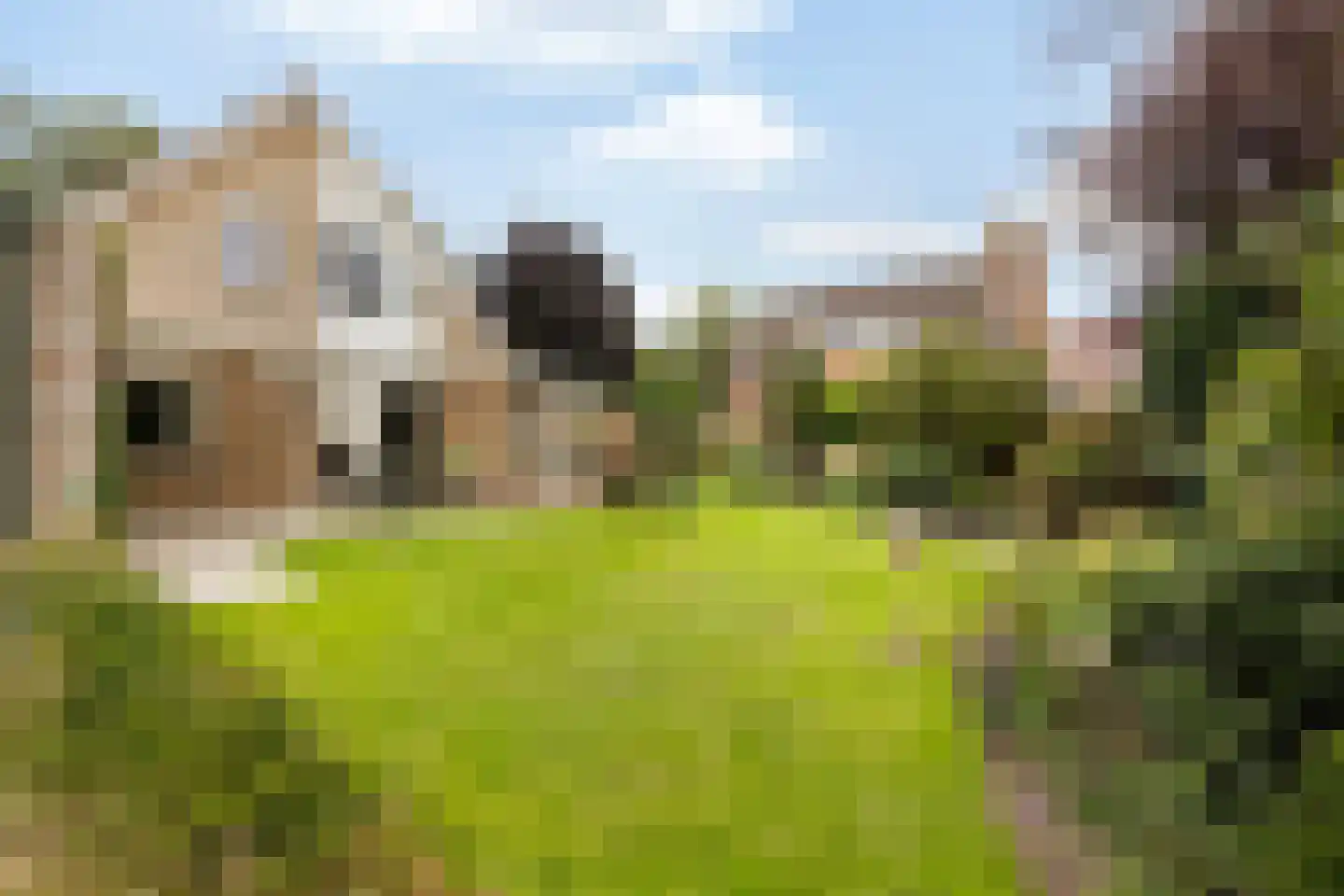 Almereweg 12 Zeewolde thumbnail 39