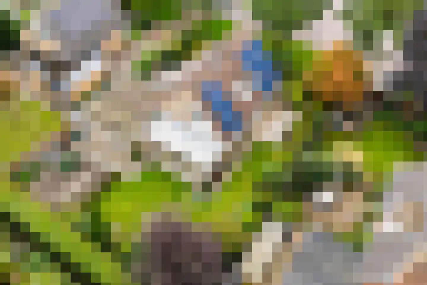 Almereweg 12 Zeewolde thumbnail 61