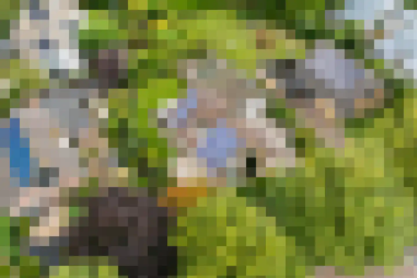 Almereweg 12 Zeewolde thumbnail 62